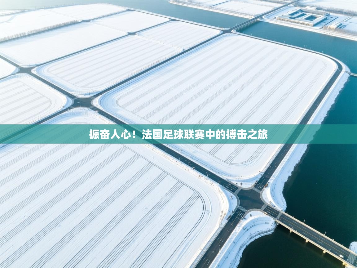 振奋人心！法国足球联赛中的搏击之旅  第1张