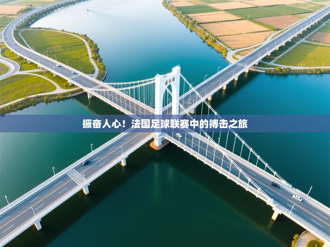 振奋人心！法国足球联赛中的搏击之旅  第2张