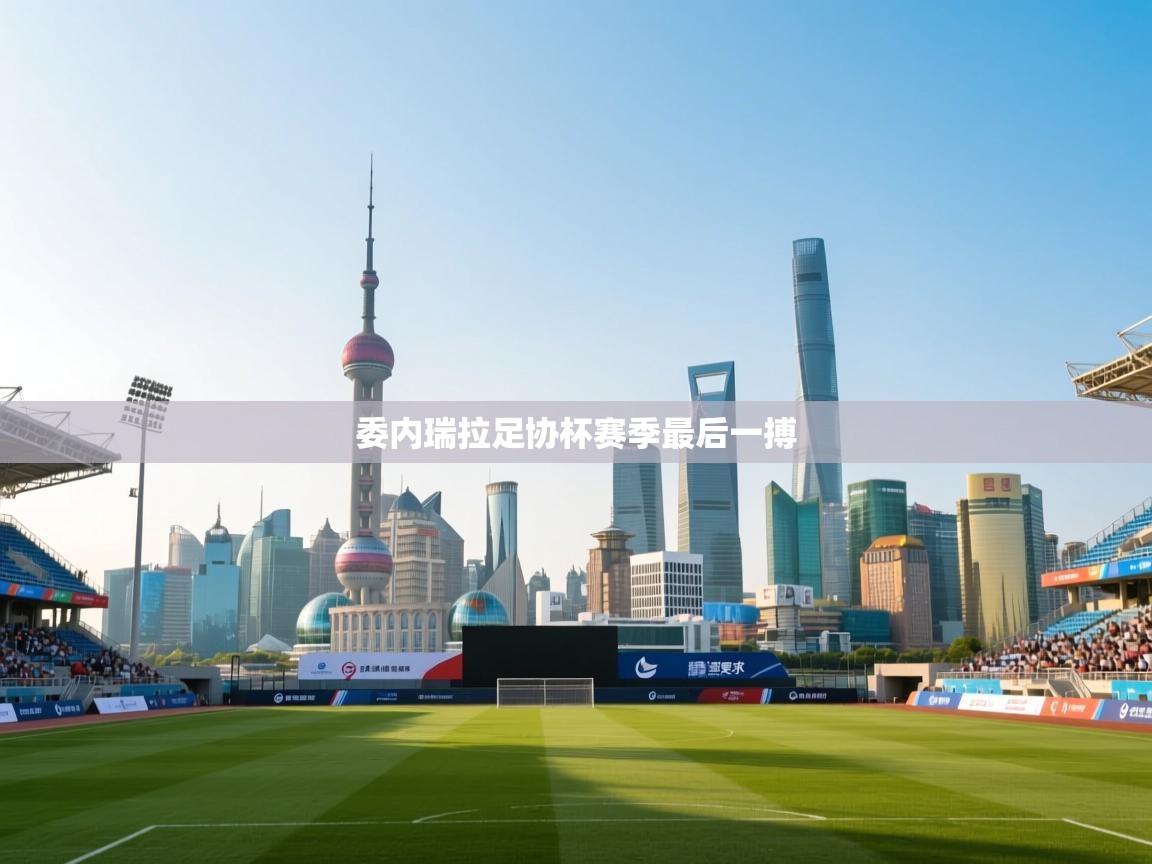 委内瑞拉足协杯赛季最后一搏 第2张