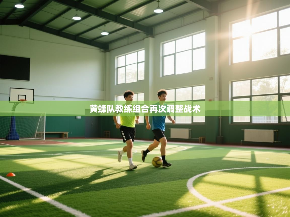 黄蜂队教练组合再次调整战术