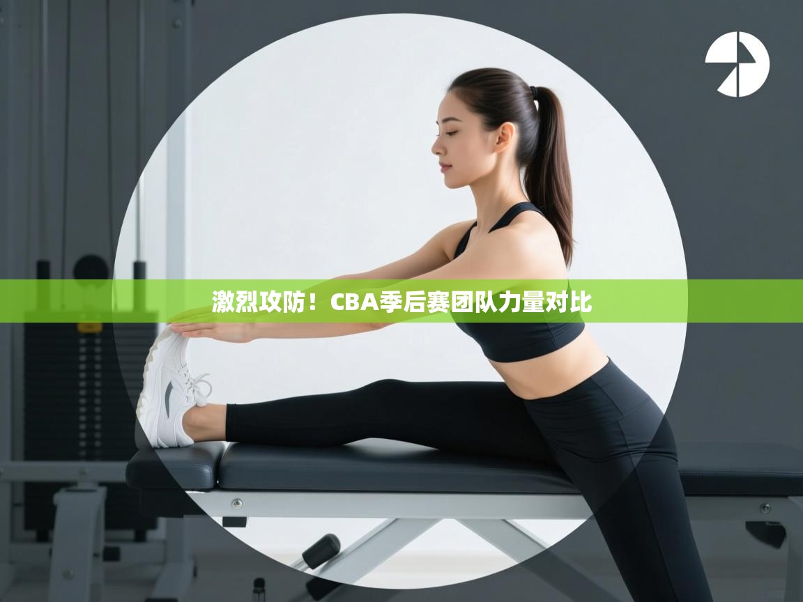 激烈攻防!CBA季后赛团队力量对比 第2张