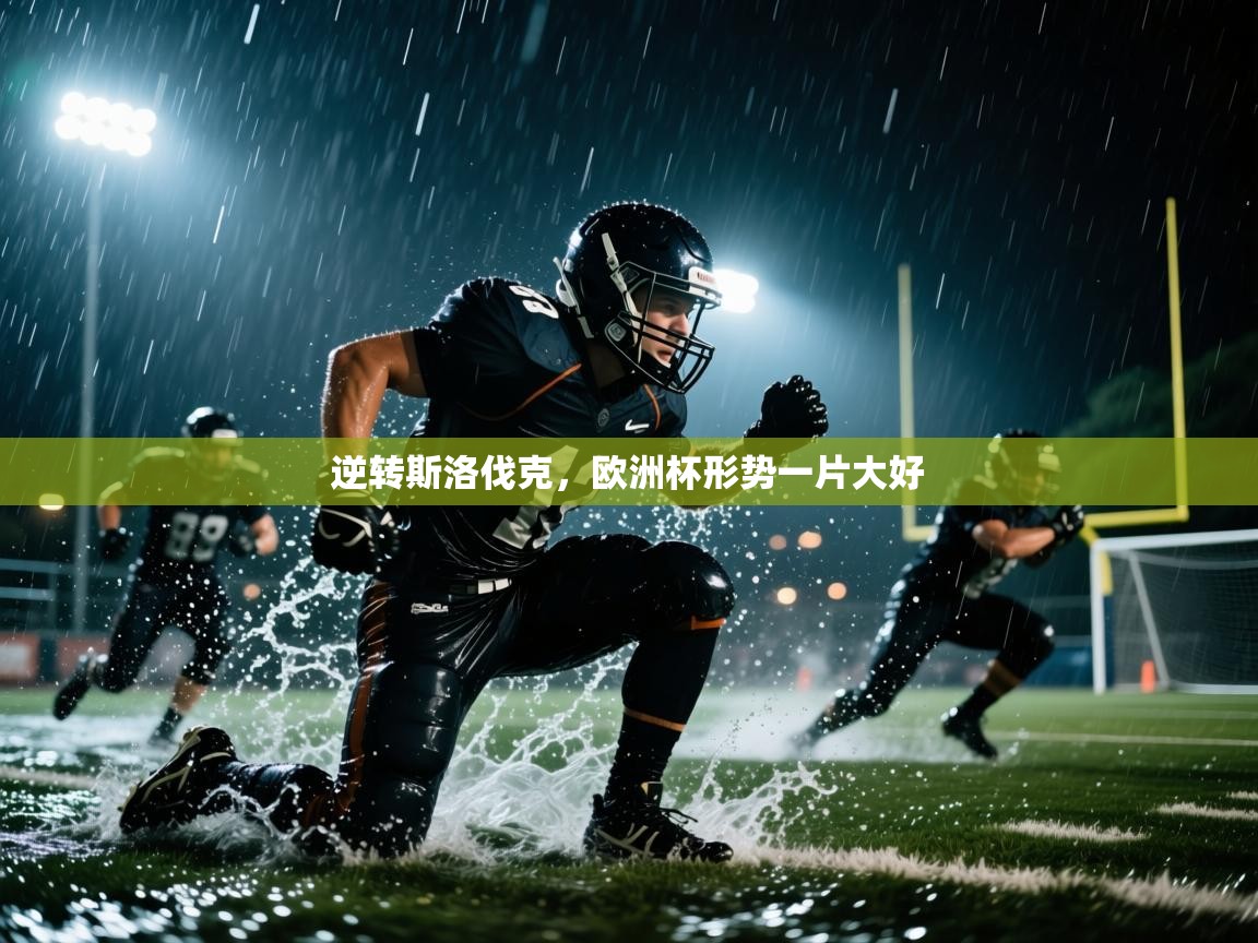 逆转斯洛伐克,欧洲杯形势一片大好 第2张